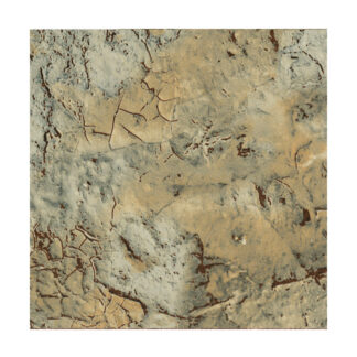 Komodo - 6"x6", Moon