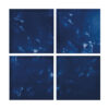 Night Blue